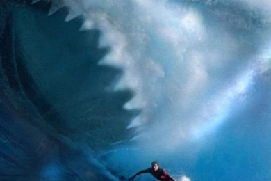 Wallpapers Iphone 5 S Shark Wave Surf 640 X 1136   640 X 1136 ...