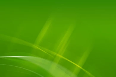 Free Green Backgrounds With HD Pictures