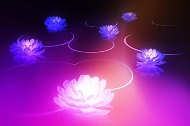 1024x768 Android Honeycomb 3.0 Lotus Desktop PC And Mac Wallpapers