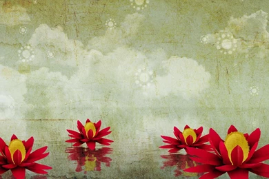 Nature wallpapers lotus flower wallpaper nature computer ...