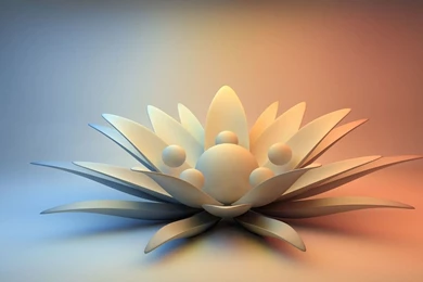 Beautiful White Lotus With Floating White Balls Wallpapers 26606