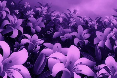 Violet Flowers Desktop Wallpaper, Violet Flowers Images, New ...