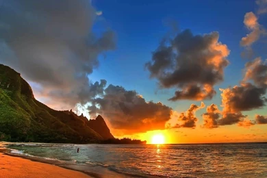 Summer Backgrounds 1024x768