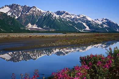 Alaska Wallpaper Backgrounds HD 6260 2560x1600   UMad.com