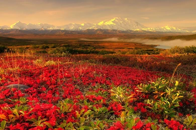Alaska HD Desktops