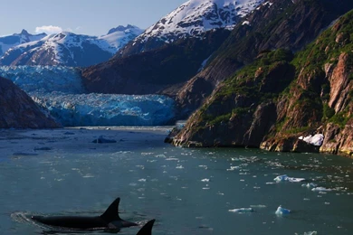 Hd, Wallpaper, Spring Desktop Backgrounds Hd Hd Wallpapers ...