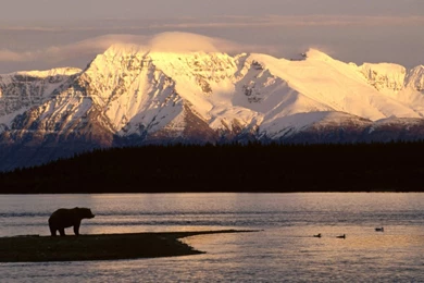 Alaska Wallpapers » WallDevil   Best Free HD Desktop And Mobile ...