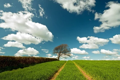 Beautiful Image Wallpapers HD