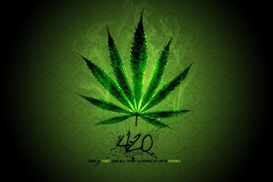 Smoke Free Weed Leaf Hd Wallpapers