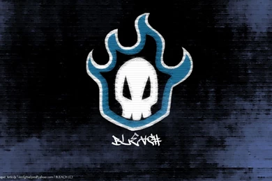 BLEACH/