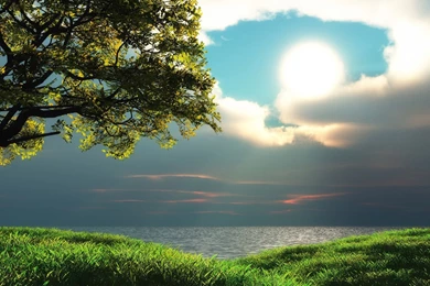 Desktop hd nice nature wallpapers free download.jpg