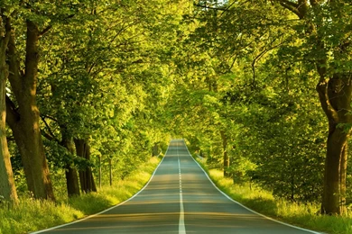 Summer Beach Desktop Wallpapers Free