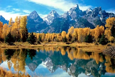 Free HD Wallpapers Download: Awesome Wallpapers HD