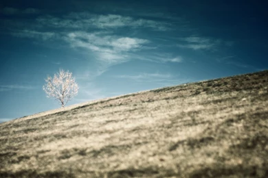 Theme Bin» Blog Archive » What Is Real HD Wallpapers