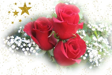 Widescreen Christmas Wallpapers   Roses And Stars