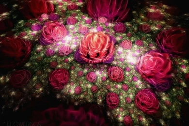 Wallpapers With Roses   HD Wallpapers And Pictures