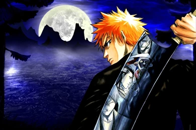 Bleach Computer Wallpapers, Desktop Backgrounds