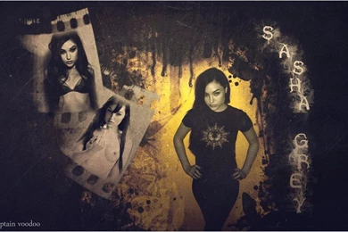 Bollywood Walpaper Celebrity: Sasha Grey Wallpapers