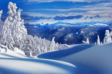 Winter Landscape Wallpapers Full HD