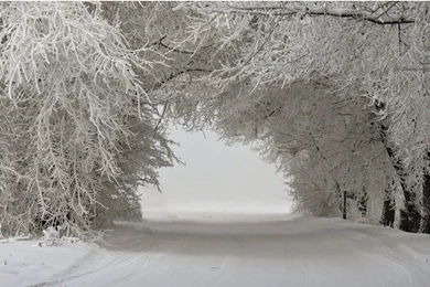 Free Winter Wallpapers – HdCoolWallpapers.Com