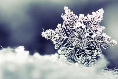 Download Winter Wallpaper Images