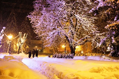 Winter Night HD Wallpapers Free