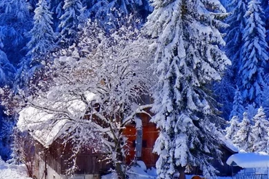 House Hill Snow Trees Winter Wallpapers For Iphone