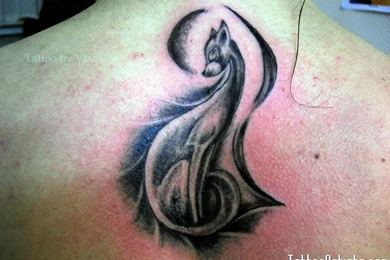 Funny Cat Tattoo 20 Free Hd Wallpapers Funnypicture.org