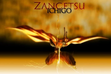 Bleach   Cool Graphic