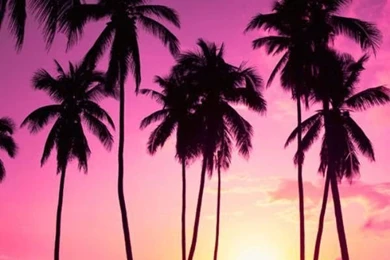 24 Cell Phone Backgrounds That Will Get You In The Mood For Summer ...
