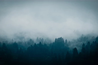 GIF) Simple Wallpapers By Shortyshrimp On DeviantArt