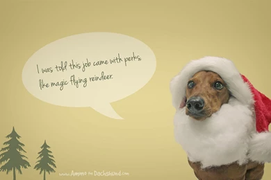 Hd Wallpapers   Bring Beauty To Your Desktop   Free Wallpapers ...