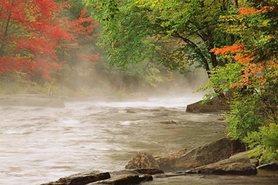 Amazing Nature Wallpapers   National Geographic Wallpapers (7896451 ...