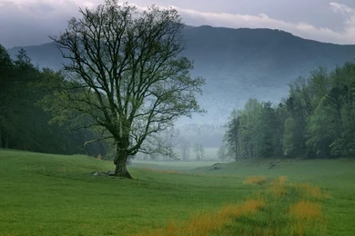 Amazing Nature Wallpapers   National Geographic Wallpapers (7896998 ...