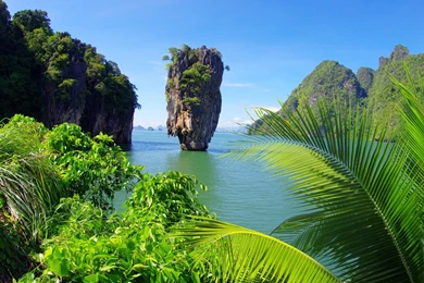 Organic Photos, Amazing Nature Wallpapers, Plants, Green, Fresh ...