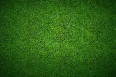 Grass Lawn Picture 23108   Wallpapers Landscape Scenery ...