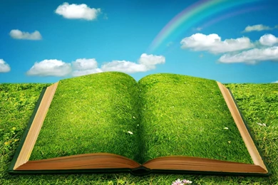 Lawn 31343   Creative Design   Classic Design