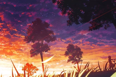 Anime Backgrounds