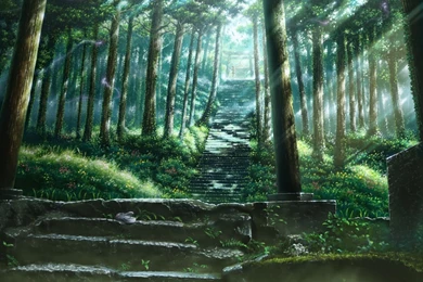 Anime Forest Backgrounds   Wallpapers Cave