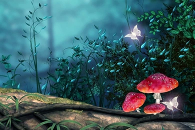 Hd Wallpapers For Android – 10 Best Natural Images ...