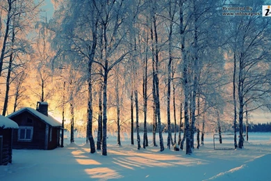 Winter Hd Images Photo 215 Of 331