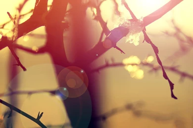 Free Winter Mac Wallpapers, iMac Wallpapers, Retina MacBook Pro ...