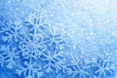 Download Wallpapers 2560x1440 Snowflakes, Ice, Glitter, Frost, Cold ...
