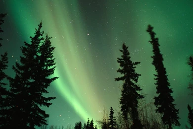 1460_1280x1024 wallpaper cb1267711351.jpg