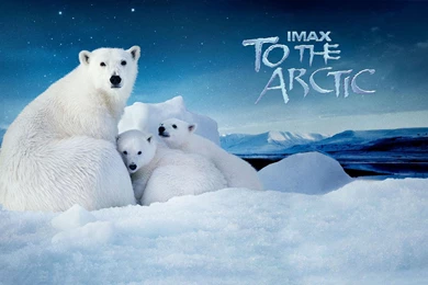 Go To The North Pole Widescreen Hd Wallpapers 1680x1050 Widescreen ...