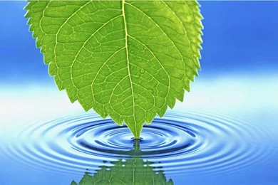 Wall7 1408526711809.jpg