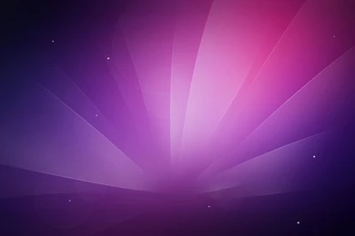 Purple Simple System Wallpapers Auto Desktop Backgrounds