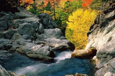 White Mountain National Forest Wallpapers   103645