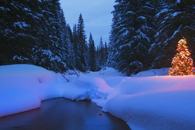 Winter_Wallpapers_Snow_Wallpapers 9.jpg