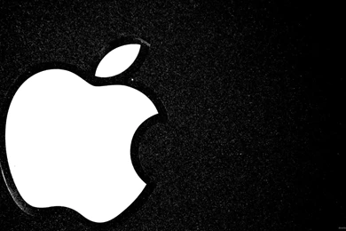 Download 2560x1440 Big White Apple Logo Wallpapers